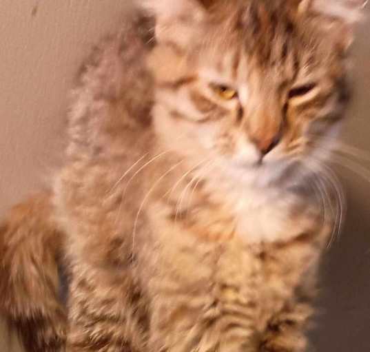 Photo of Matilda