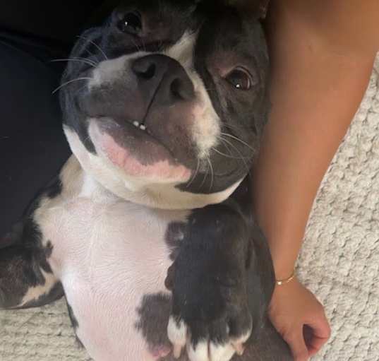 Photo of Lily