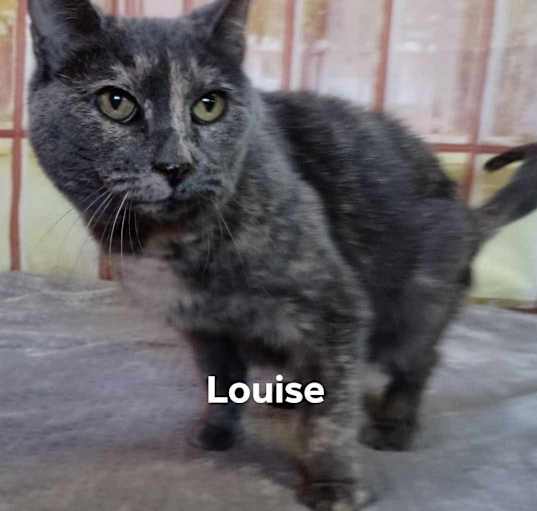 Photo of Louise