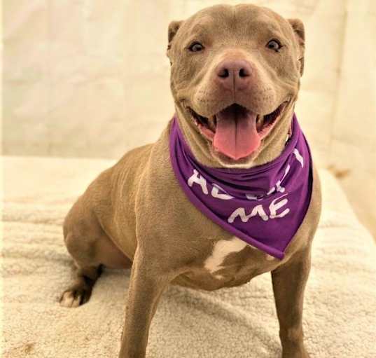 Photo of NALA
