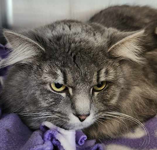 Photo of Jeffery