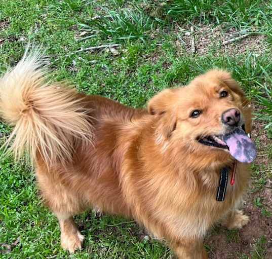Photo of Max