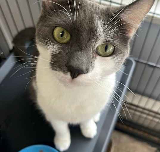 Photo of Ursula