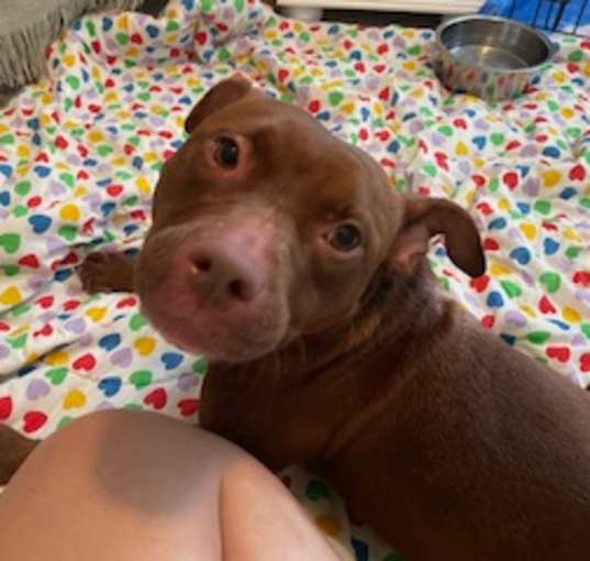 Photo of Zoe
