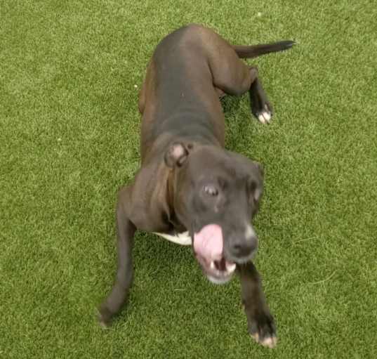 Photo of Maggie Kate