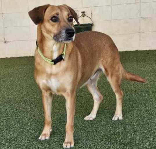 Photo of Tequila