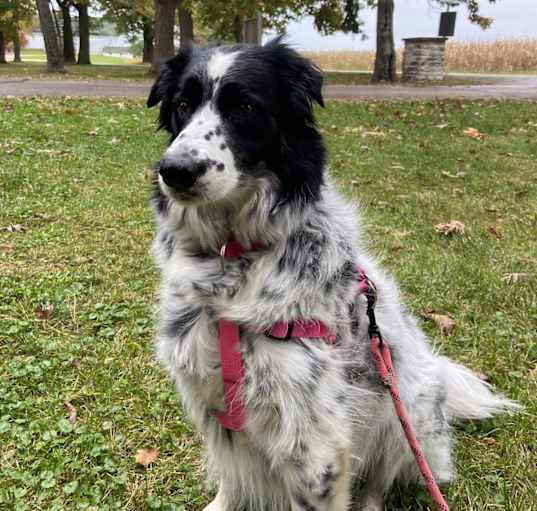 Photo of Oakley