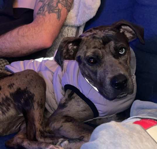 Photo of JUNO