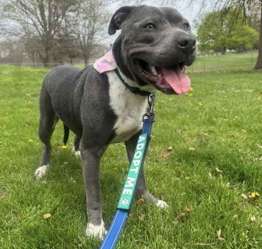 Photo of Ms Eddie