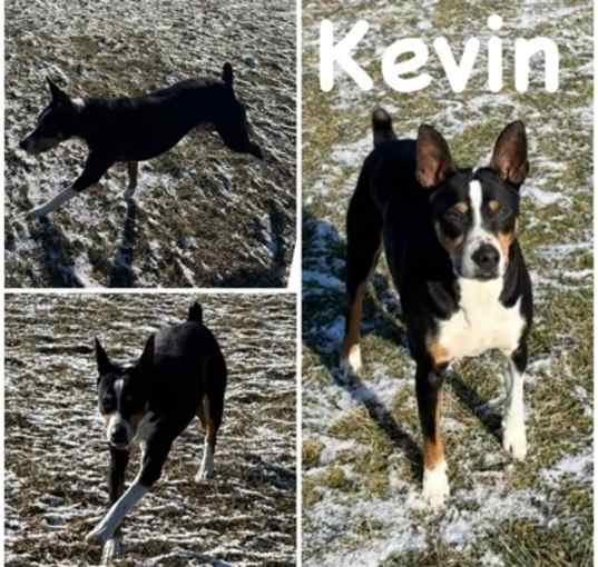 Photo of Kevin
