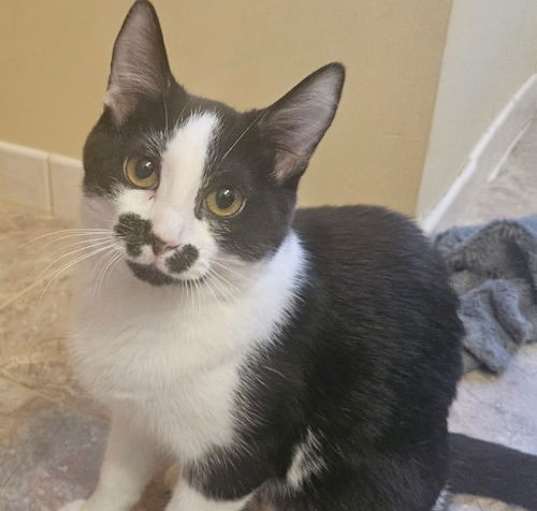 Photo of Wednesday