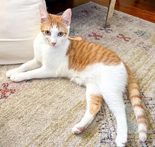 Photo of Delilah