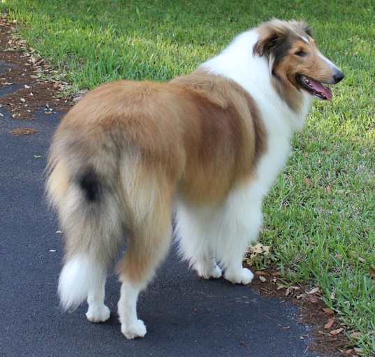 Photo of Max