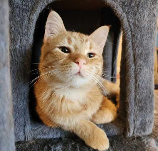 Photo of Norbert