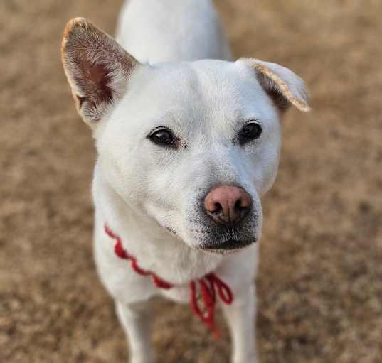 Photo of Chloe