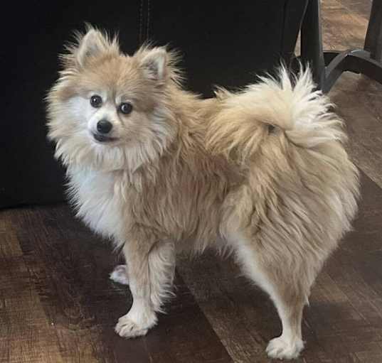 Photo of Bentley