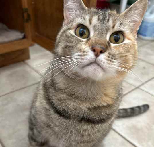 Photo of LucyBelle