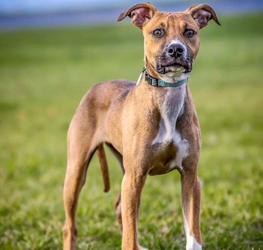 Photo of Winny