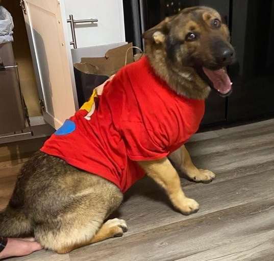 Photo of Rex