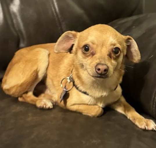 Photo of Tito