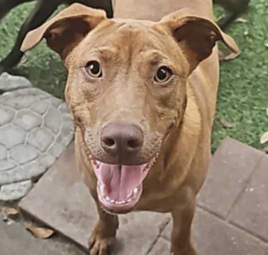Photo of Chase