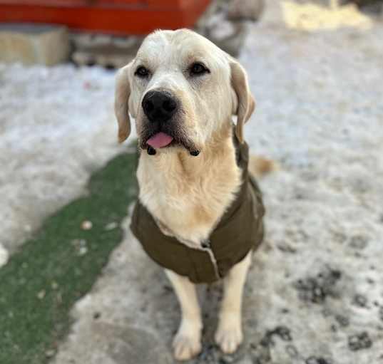 Photo of Gatsby