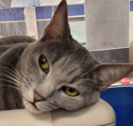Photo of Floyd