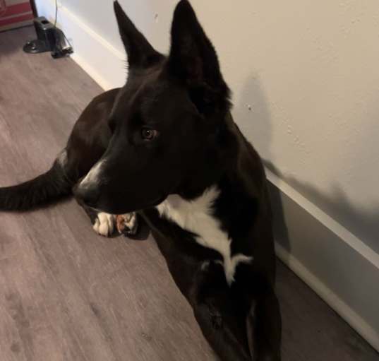 Photo of Oakley