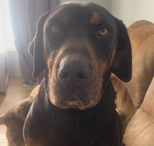 Photo of Theo