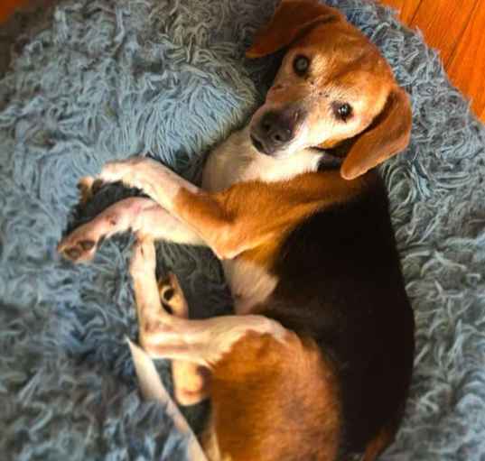 Photo of Elsie