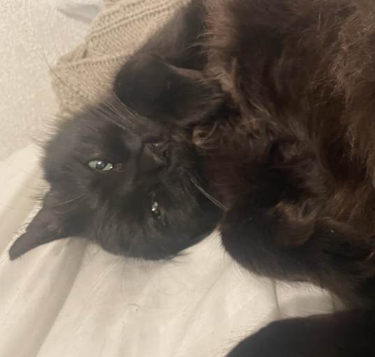 Photo of Salem