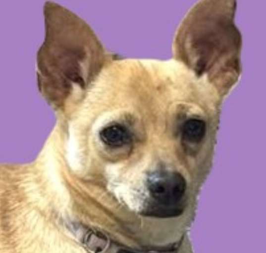 Photo of Ori
