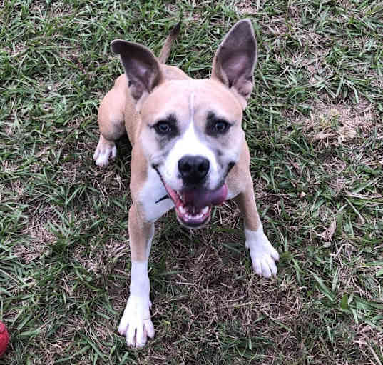 Photo of Deedee