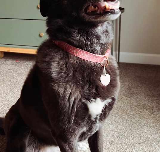 Photo of Lefty