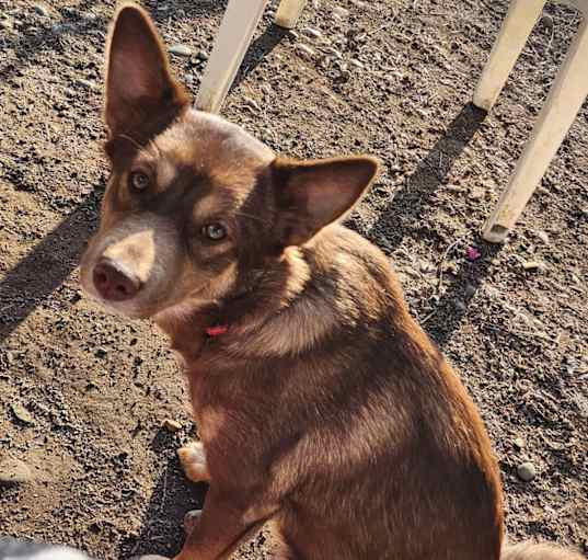 Photo of Nadia