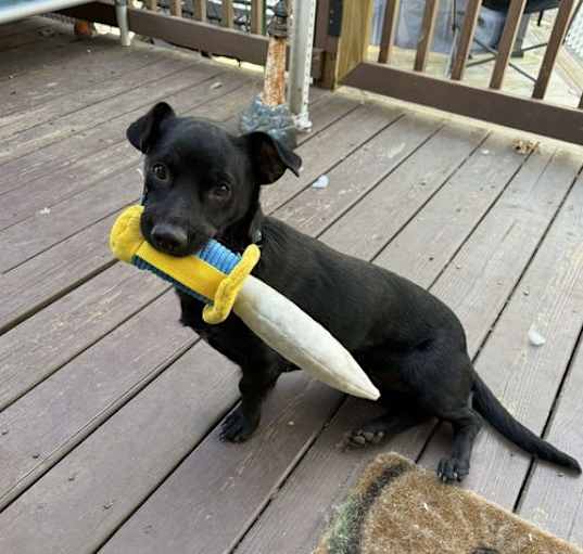 Photo of Popeye