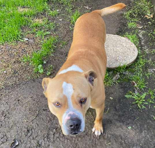 Photo of Tap
