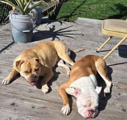 Photo of Asha and Noah