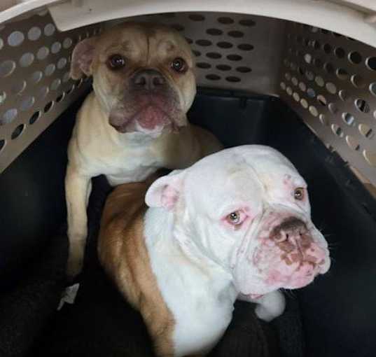 Photo of Asha and Noah