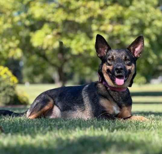Photo of Ruby King
