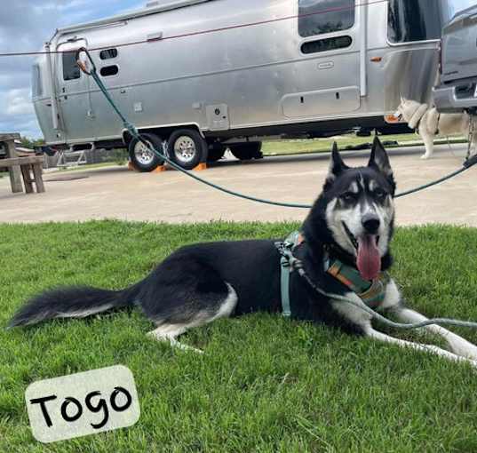 Photo of Togo