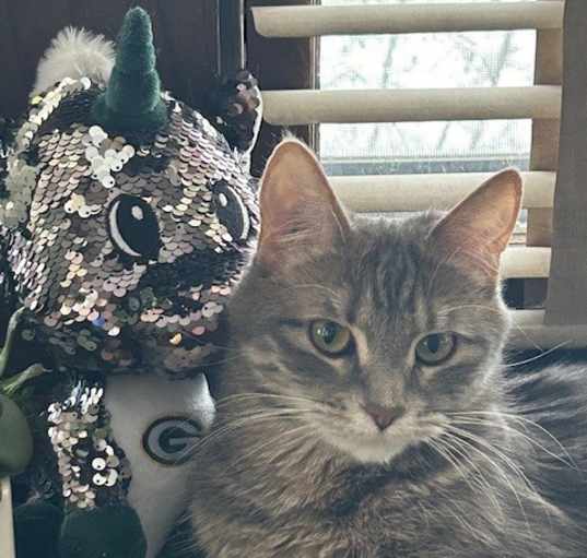 Photo of Ella