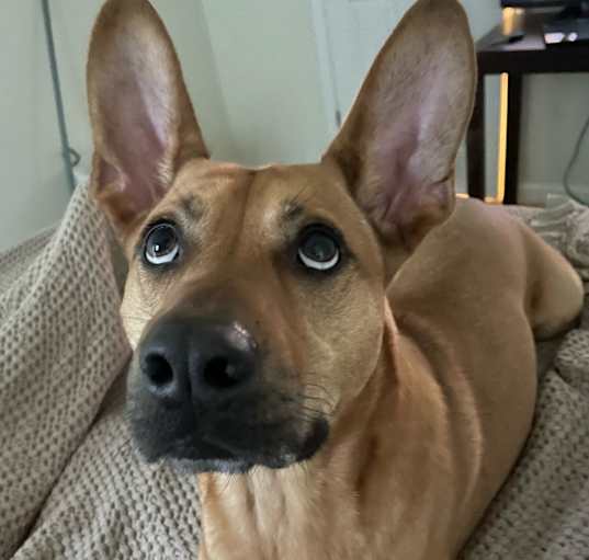 Photo of Chrisley