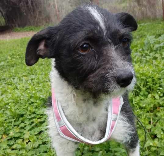 Photo of Vera
