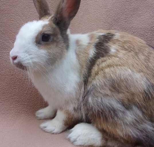 Photo of MAMA