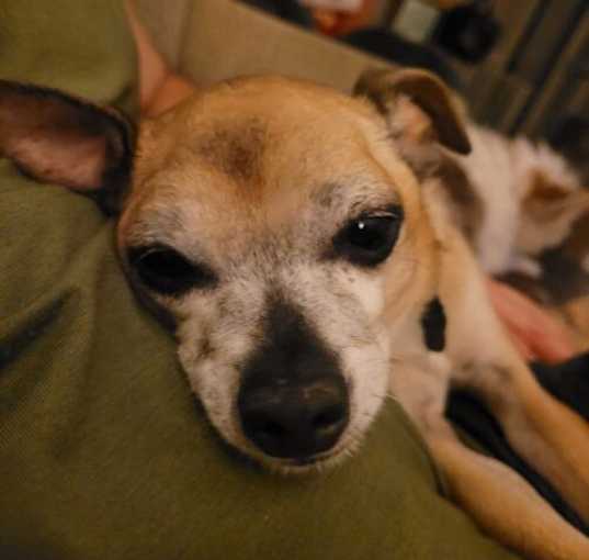 Photo of Toots