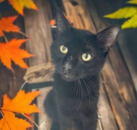 Photo of Spirit