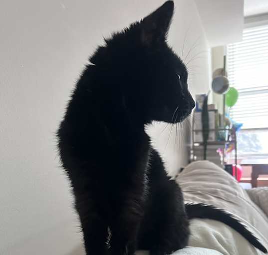 Photo of Matilda