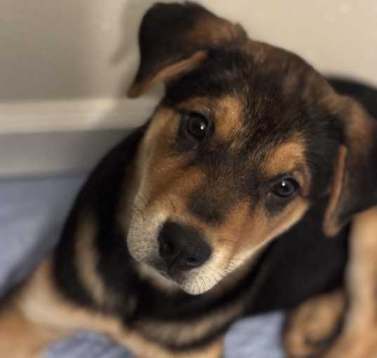 Photo of Star