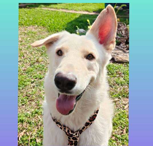 Photo of Finley